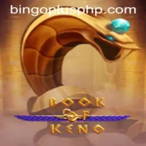 Bingo Plus Casino App